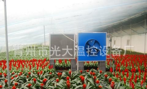 供应大棚温控热风设备(图) 花卉大棚温控加温设备