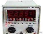 供应数显温控仪/XMTA-2202 Pt100温控器 0-400度 双控