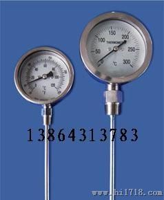 双金属温度计WSS-411型0-300度