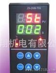 48*96柜式仪表 温度时间温控器
