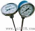 WSS401轴向温度表 