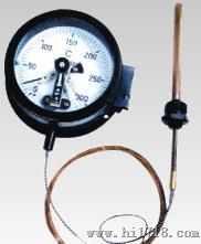 博瑞仪表仪器WTZ/WTQ系列压力式温度计