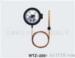 压力式温度计  WTZ、WTQ电接点压力式温度计