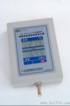 CH-WS112A-FF墙挂式温湿度显示仪