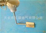 管壁式热电阻 ，管道热电阻