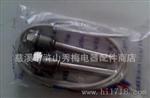 简易式 棒式直插 镙纹M27*2  Pt100热电阻