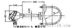 供应 测管道表面温度用WZPKJ-031G卡箍式热电阻