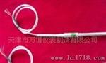 供应优质WZP系列 热电阻