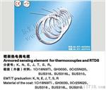 供应质量好的铠装热电阻