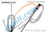 WZPT-187 不锈钢探头式铂热电阻 中天