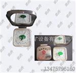 轨温表，钢轨温度表供应