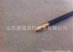 便携式测温仪现货