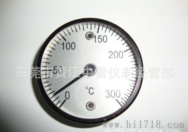 供50MM表径0-300℃磁性温度计