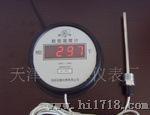 WMZ-200 大屏幕数字温度计 厂家直销