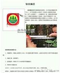 厂家大量供应太平洋测树钢围尺长度2米袖珍版小卷尺