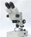 XTL2600带上下光源连续变倍体视显微镜