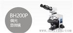 BH200P偏光显微镜 上市公司产品 质量 实力雄厚