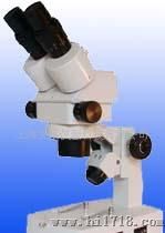 XTL-2300双目连续变倍体视显微镜