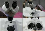 供应广西梧州XTJ-4400显微镜