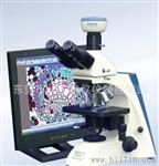 金像显微镜MIT300\500