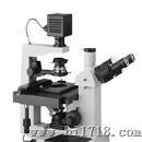 供应TVM-500系列 视频显微镜