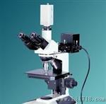 供应金相显微镜    电子视频显微镜