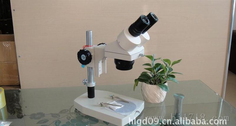 供应凤凰体视显微镜XTL-III  20X~40x 原装/现货批发