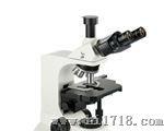 生物显微镜MA5002/双目生物显微镜