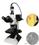 供应SH-1031经济型金相显微镜
