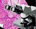 福建奥林巴斯显微镜CX31，福建教学显微镜CX31