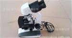 显微镜 XSP-2CA 双目 电光源 1600倍 彼爱姆