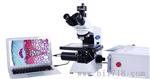 【奥林巴斯】OLYMPUS CX31生物显微镜  原装 价