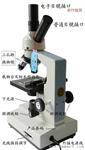 Phenix凤凰XSP-35TV-1600倍数码生物显微镜 接电子目镜科研教学用