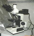 供应HONGRUI金相显微镜
