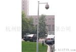 支架立杆 3米球机杆 小区道路杆