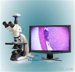  三目生物显微镜 无限远光学系统  效果 生物显微镜