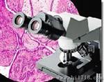 优价供应的奥林巴克斯双目四物生物显微镜CX31