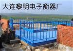 电子地磅地上衡地中衡轨道衡汽车衡平台秤腐秤