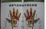 微量元素检测仪 钙铁锌硒检测仪
