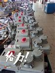 【防爆检修电源插座箱BXX52】价格、厂家、图片