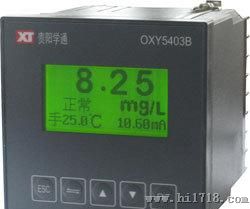 OXY5403B中文在线溶解氧仪