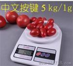 便携迷你时尚电子秤电子称台秤5kg  