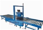 供应Ruibo WMI-500体积重量条码测量系统