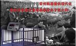 供应屠宰场单轨衡