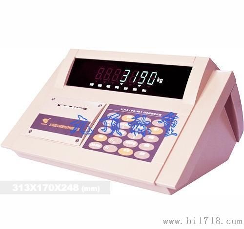 XK3190—DM1汽车衡仪表/称重显示器