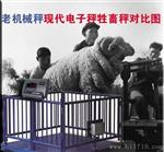 供应屠宰场单轨衡