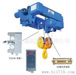 供应1T~16T TCQ-M型起重量限制器 电动葫芦载限制器