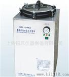 30L立式自控蒸汽器