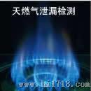 供应DY80 DY81气体泄露检测器