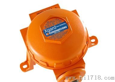 Xgard固定式气测仪 X